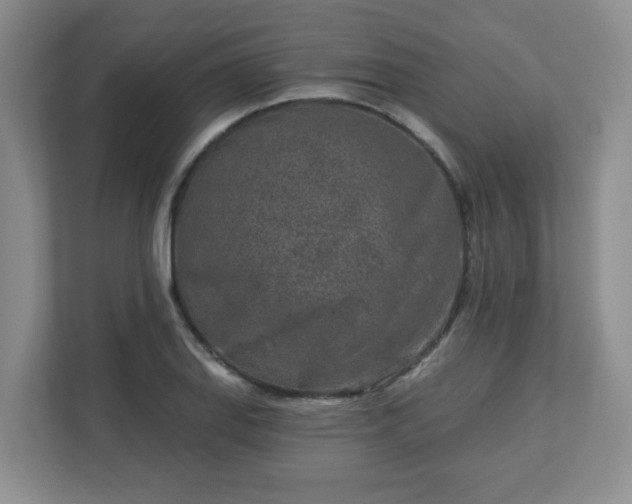 X0000113121127200909041300