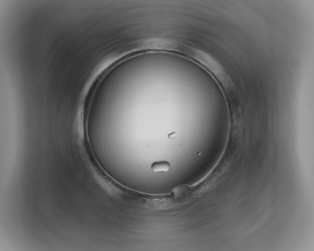 X0000113121128200909041300