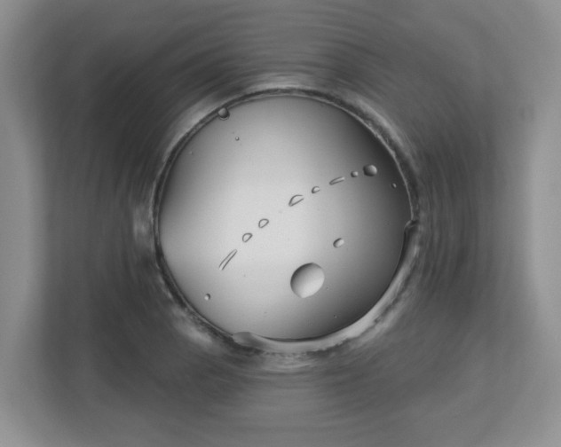 X0000113121129200909041300