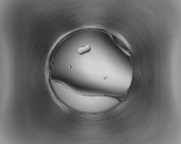 X0000113121132200909041301