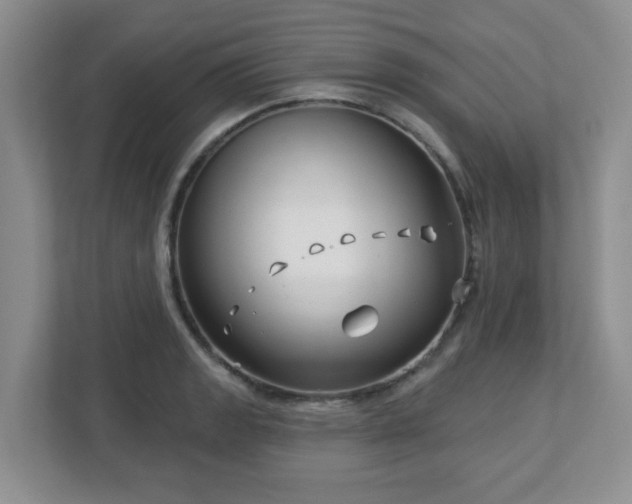 X0000113121133200909041301