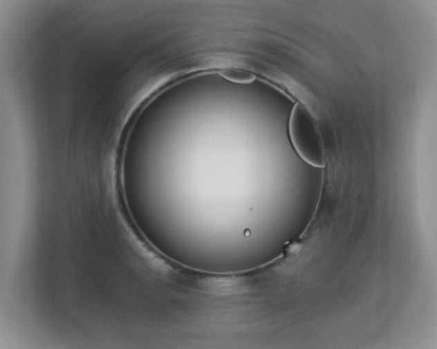 X0000113121134200909041301