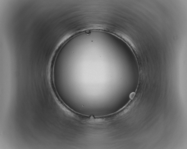 X0000113121135200909041301