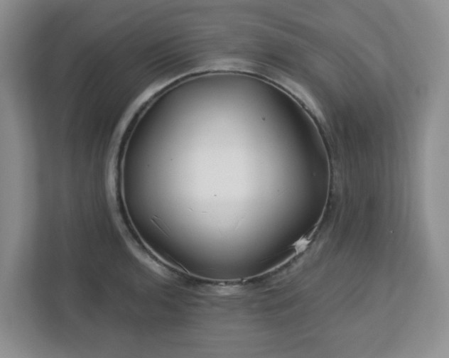 X0000113121136200909041301