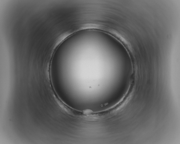 X0000113121137200909041301