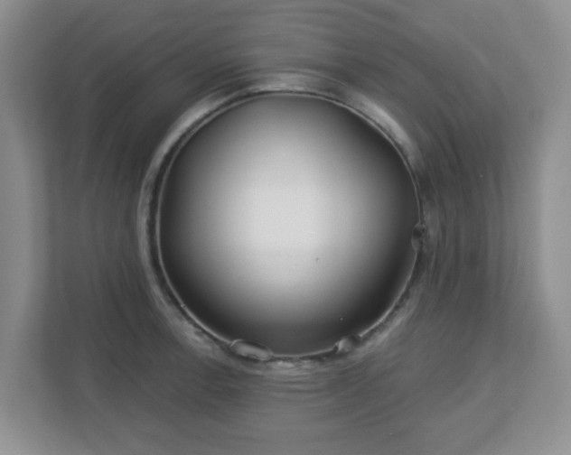 X0000113121138200909041301