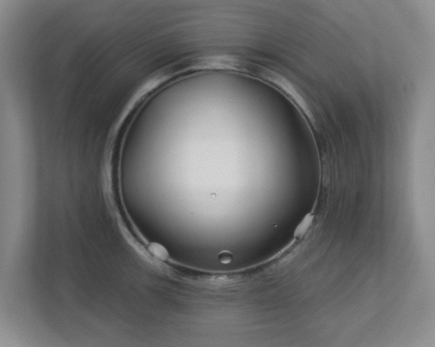 X0000113121139200909041301