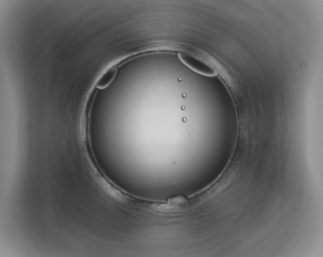 X0000113121140200909041301