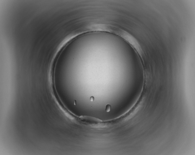 X0000113121141200909041301