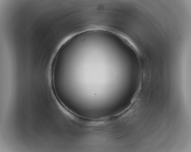 X0000113121143200909041301