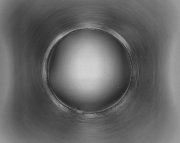 X0000113121144200909041301