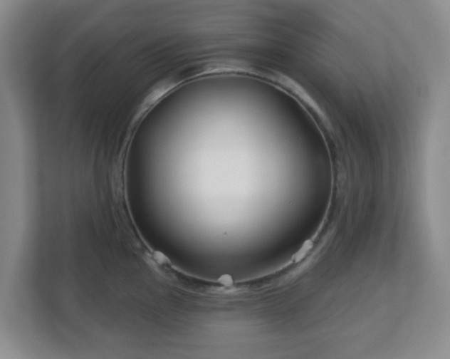 X0000113121145200909041301