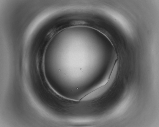 X0000113121151200909041301