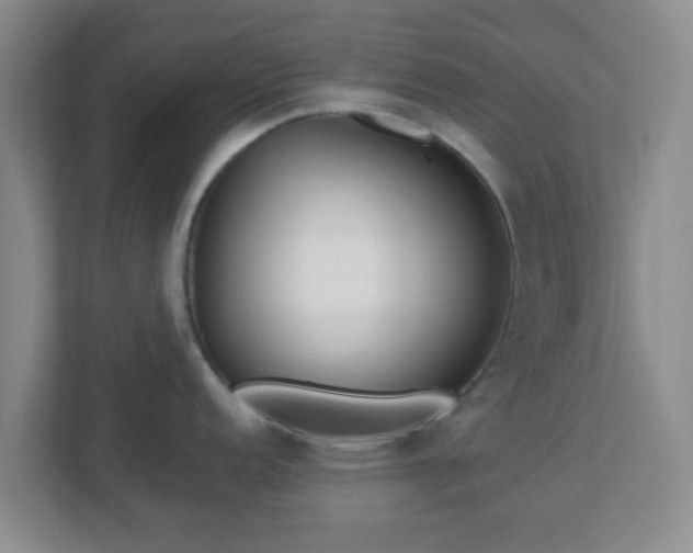 X0000113121152200909041301