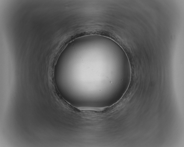 X0000113121153200909041300