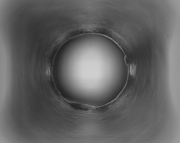 X0000113121155200909041300