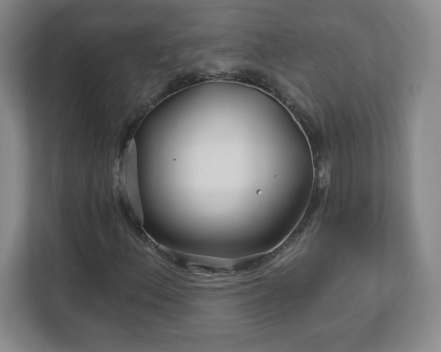 X0000113121156200909041300