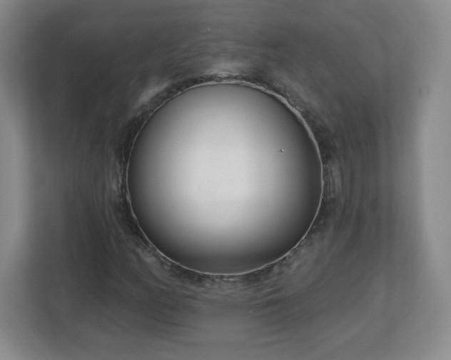 X0000113121158200909041300