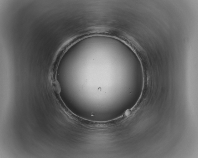 X0000113121164200909041300