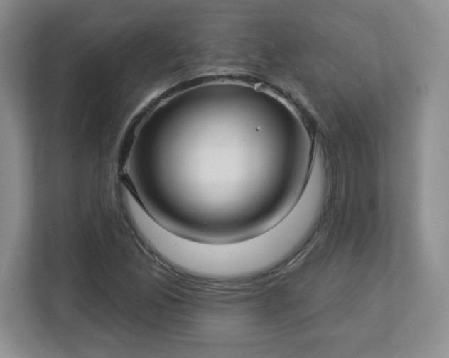 X0000113121165200909041300