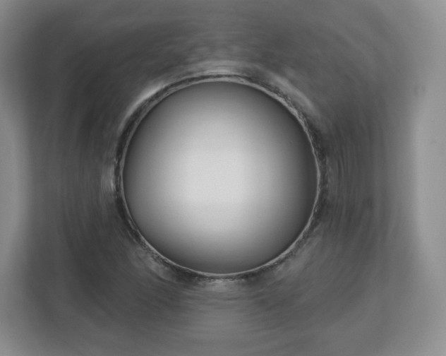 X0000113121166200909041300