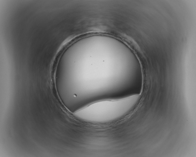 X0000113121168200909041300