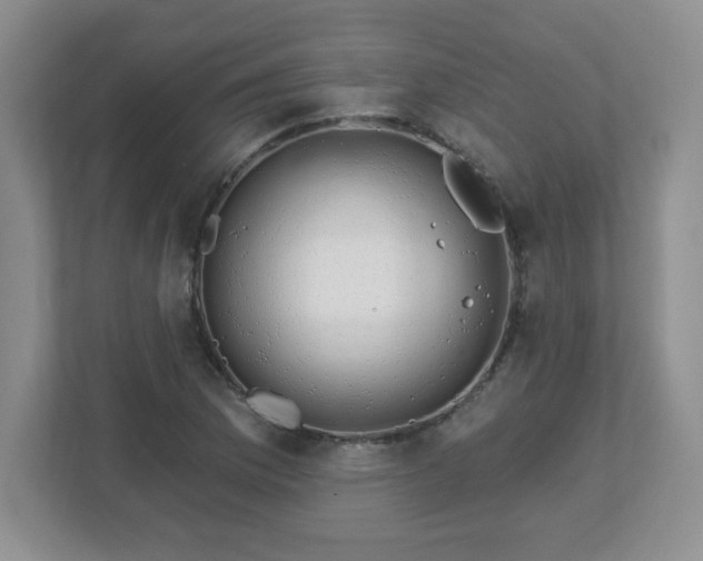 X0000113121169200909041300