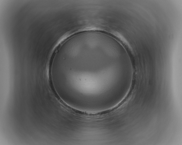 X0000113121173200909041300