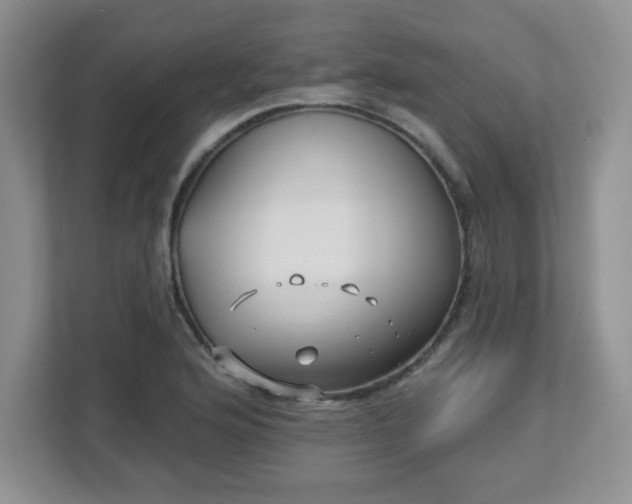 X0000113121176200909041300