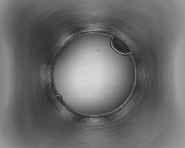 X0000113121177200909041300