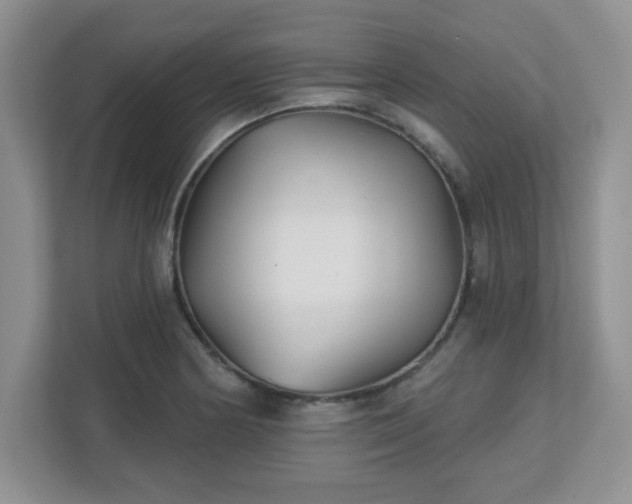 X0000113121178200909041300