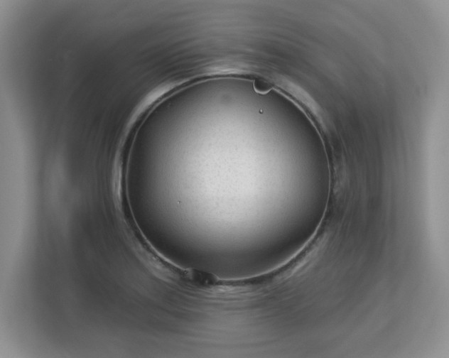 X0000113121179200909041300