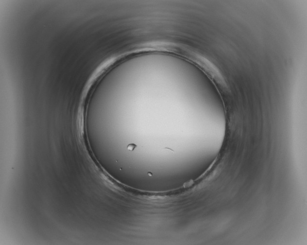 X0000113121180200909041300