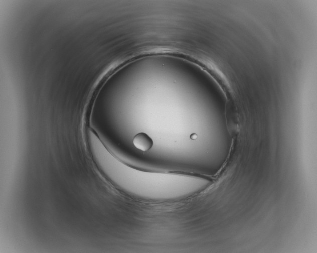 X0000113121181200909041300