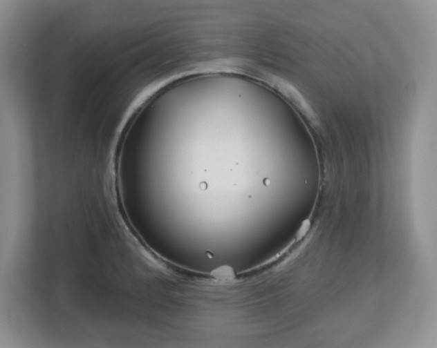 X0000113121184200909041300