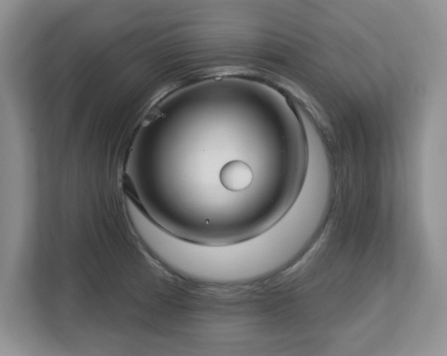 X0000113121185200909041300