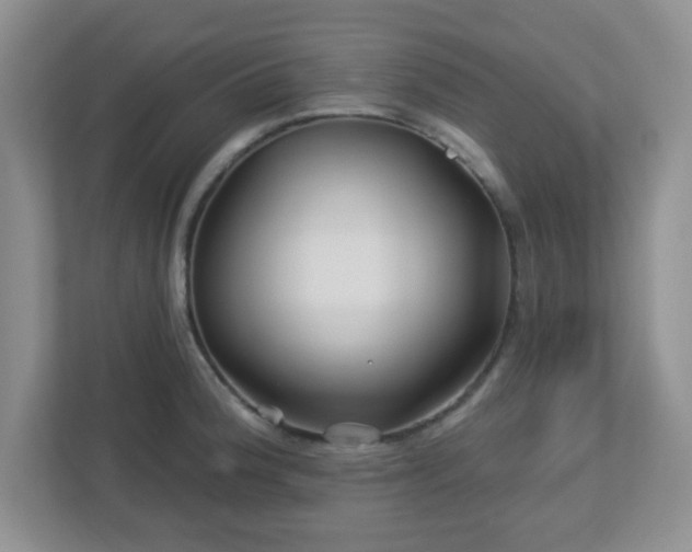 X0000113121188200909041300