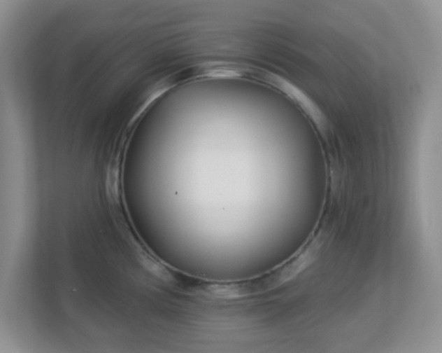 X0000113121194200909041300