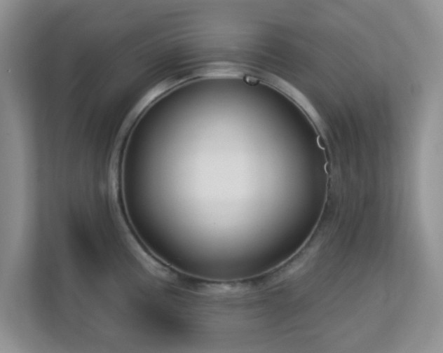 X0000113121195200909041300