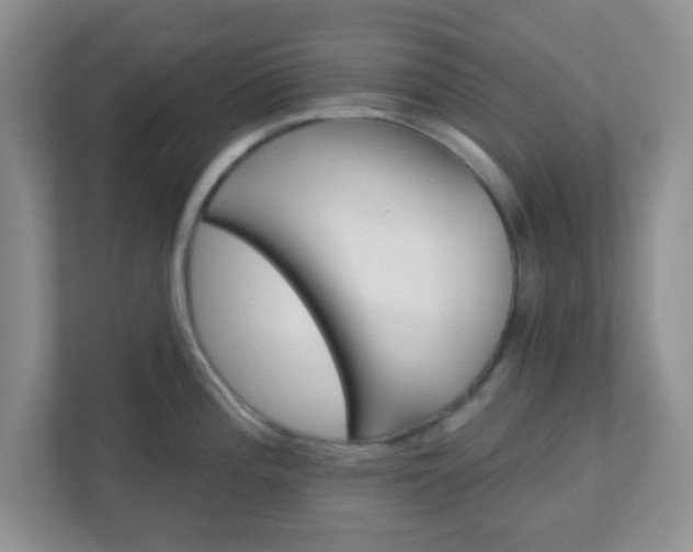 X0000113121196200909041300