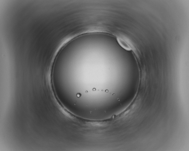 X0000113121197200909041300