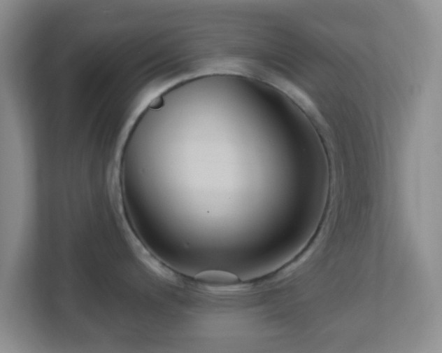 X0000113121200200909041300