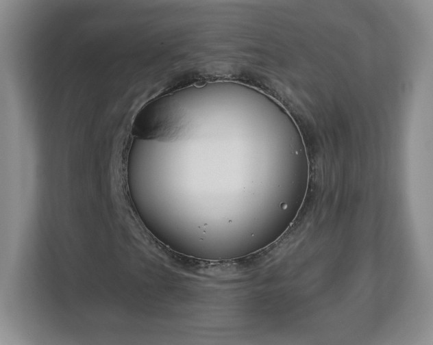 X0000113121201200909041259