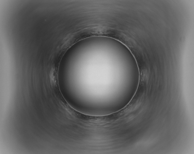 X0000113121202200909041259