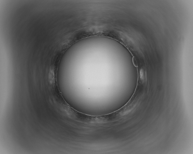 X0000113121203200909041259