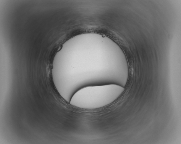 X0000113121204200909041259