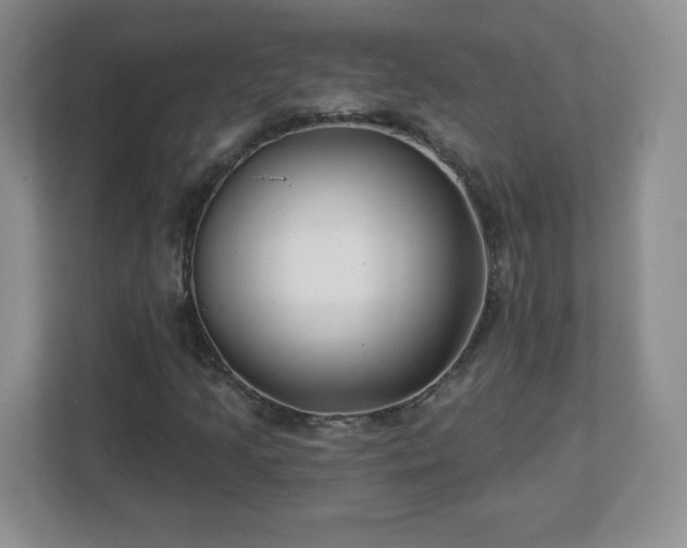 X0000113121205200909041259