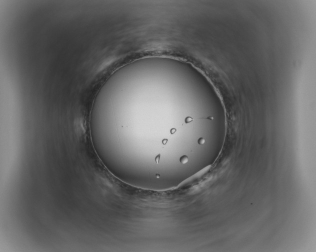 X0000113121206200909041259