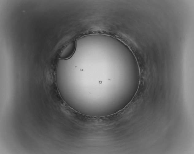 X0000113121207200909041259