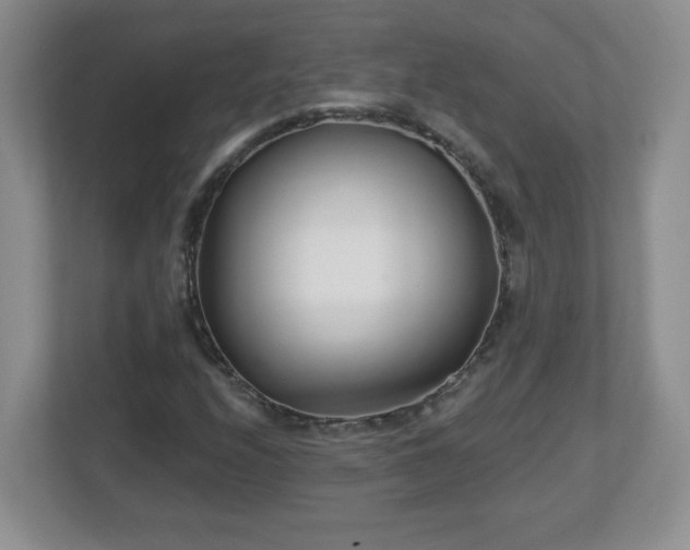 X0000113121208200909041259